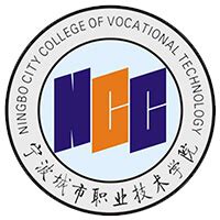 宁波城市职业技术学院 WebVPN.